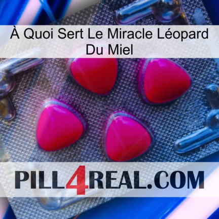 À Quoi Sert Le Miracle Léopard Du Miel 13